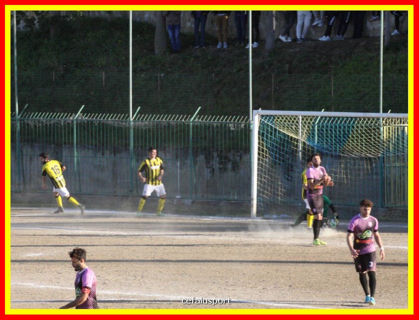 190310 Cephal_Torrenov 202_tn.jpg